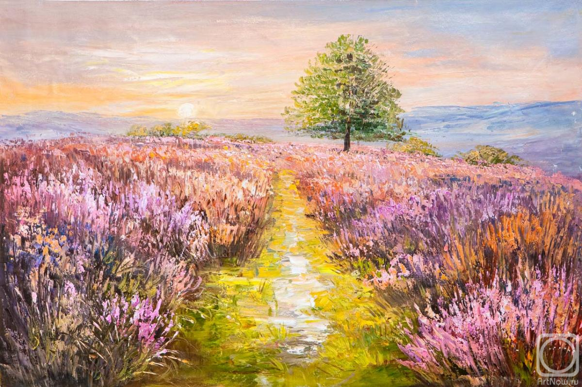 Vlodarchik Andjei. Lavender field in the rays of sunset