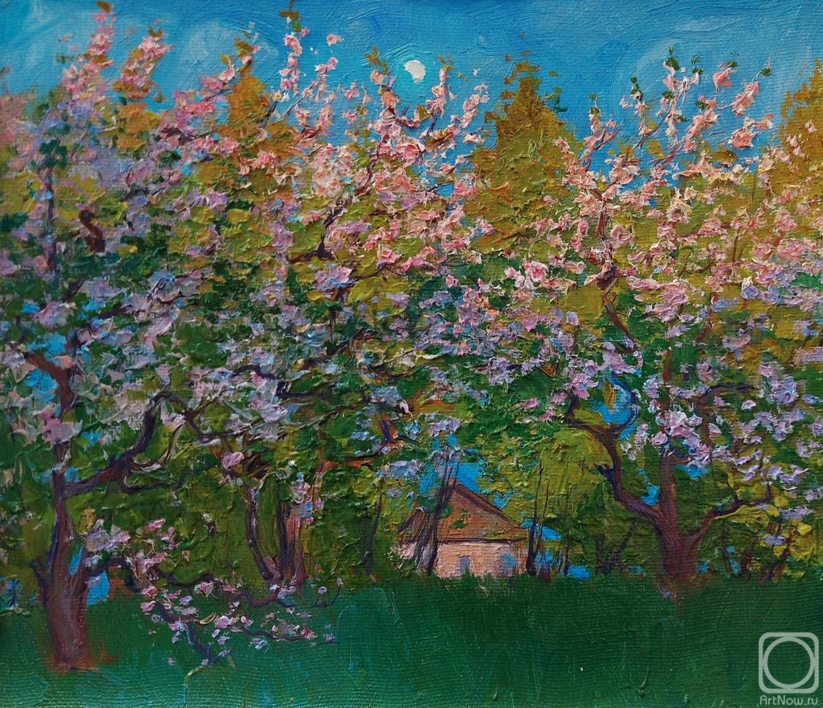 Melnikov Aleksandr. Evening in the blooming garden