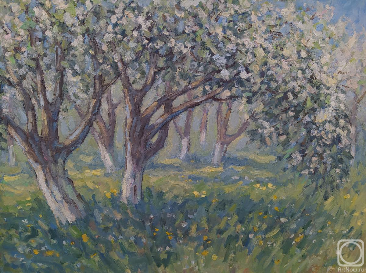 ������� ������ �� ������. ��������� ���������. ������ ������