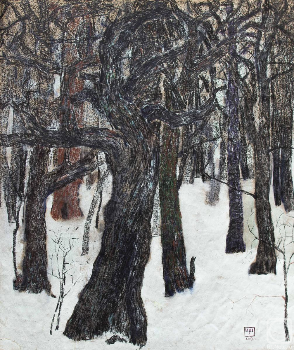 Shcherbakov Igor. Winter forest
