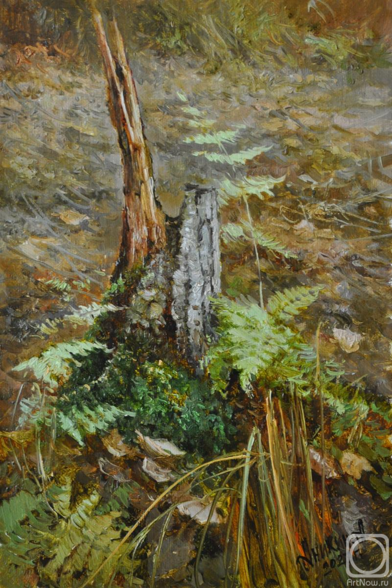 ������� ������ �� ������. ������ �������. ����� �������� "�������"