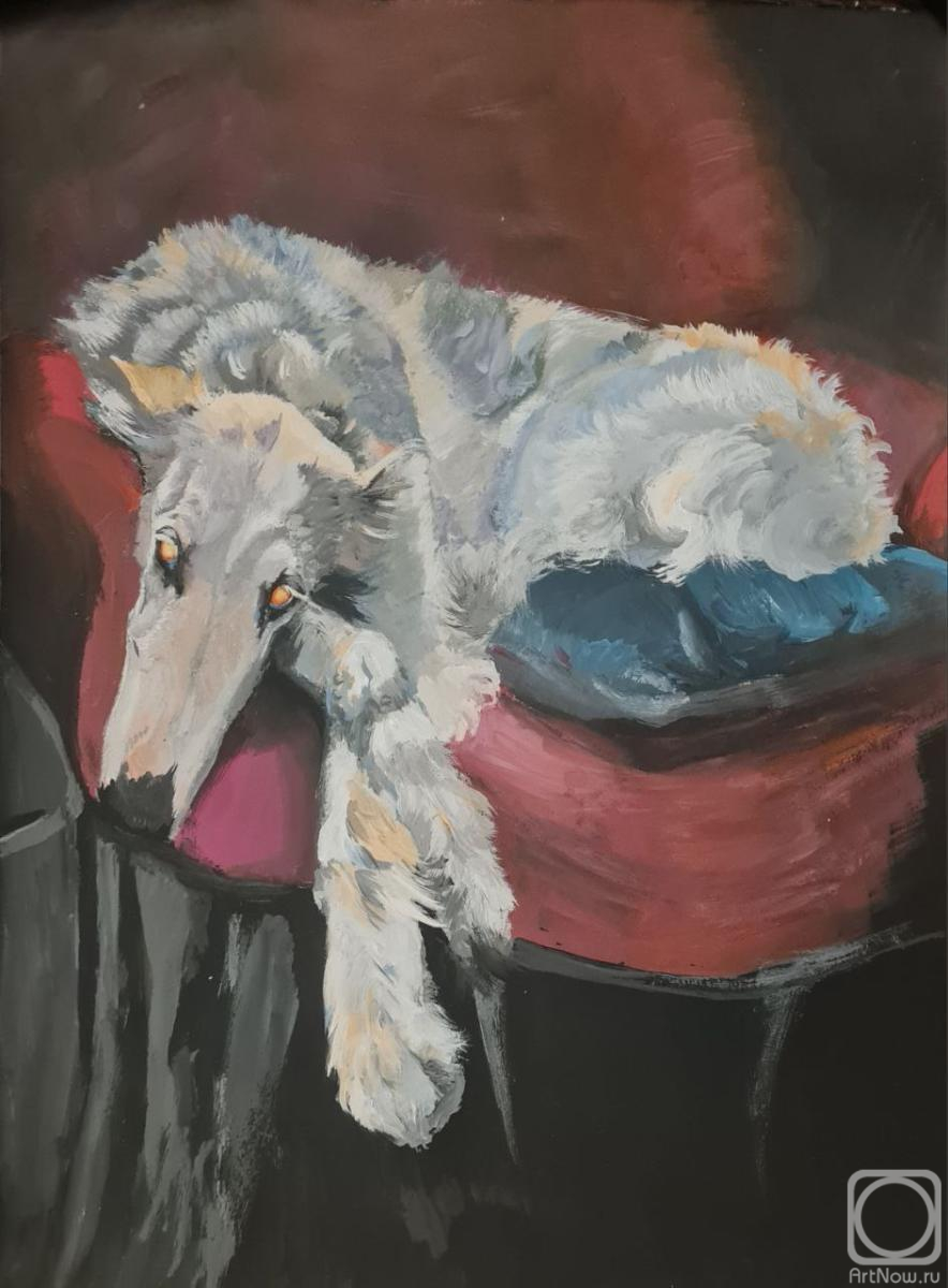 Asanova Sofya. Dog, russian wolfhound