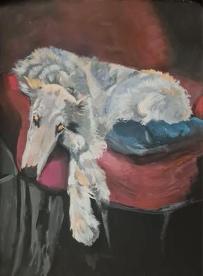 Dog, russian wolfhound. Asanova Sofya