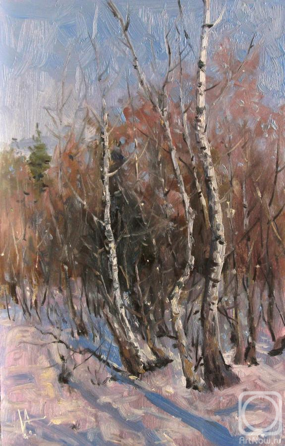 Volya Alexander. In the Birch Winter Forest