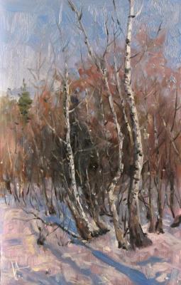 In the Birch Winter Forest (Birch Forest). Volya Alexander