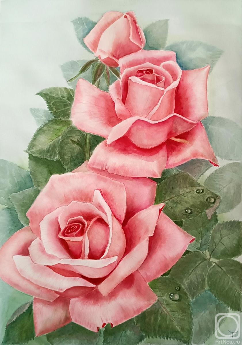 Gesler Tatyana. Three roses watercolor