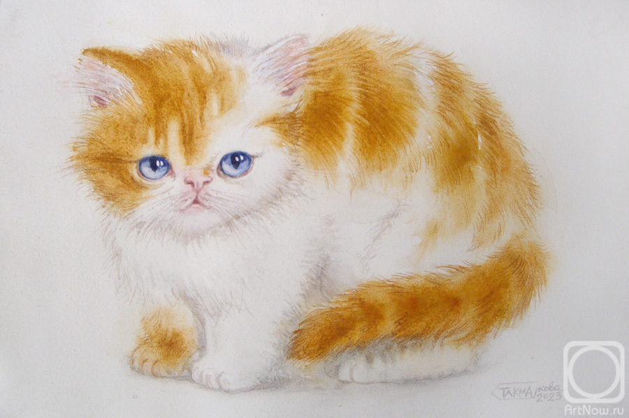 Takmakova Natalya. A red-haired Persian kitten