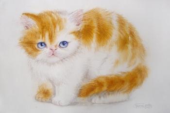 A red-haired Persian kitten (Fluffy White Cat). Takmakova Natalya