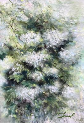 ������� �������