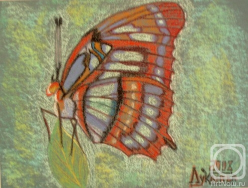 �������. �������� ������. ��������� ������ 4