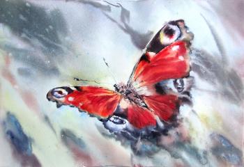 Butterfly wings. Krivoruchenko Elena