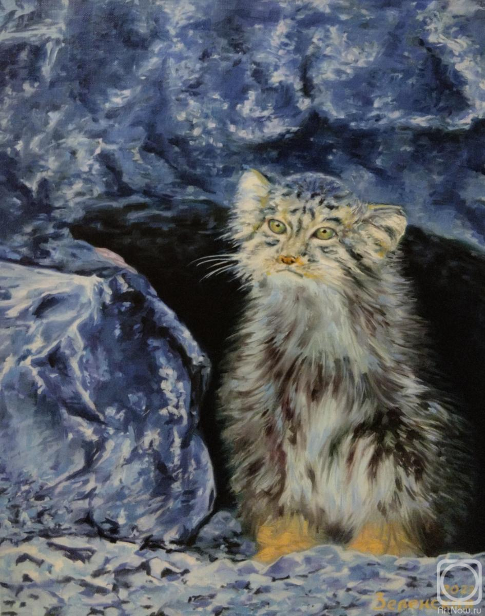 Zelenskaya Evgeniya. Dreamy manul