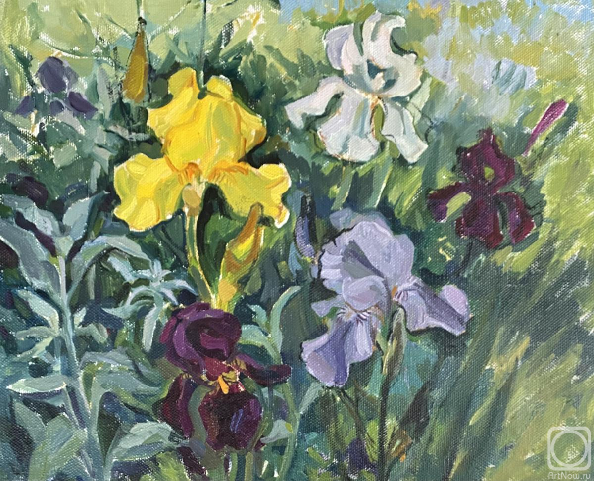 Skachkova Olga. Irises