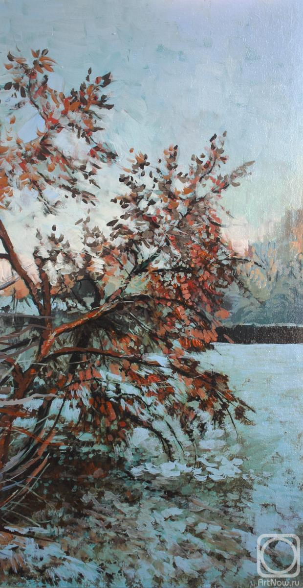 Fyodorova-Popova Tatyana. Winter apple tree