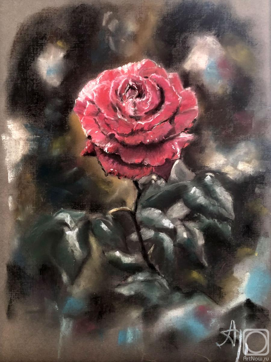 Kabardov Anzor. Rose