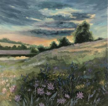 Before the storm. Landscape, wildflowers, pond