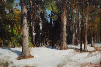 In the winter forest (Pine Wood). Burtsev Evgeny