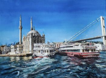 The monumental radiance of the great city (Istanbul). Serebryanskaya Olga