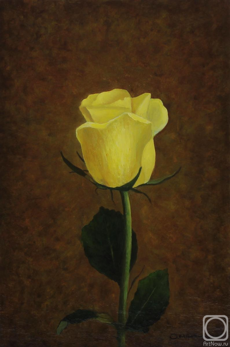 Myakotin Oleg. Yellow Rose