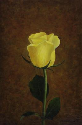 Yellow Rose. Myakotin Oleg