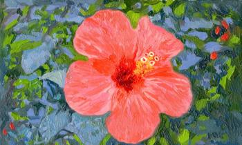 Hibiscus Chinese (A Symbol Of Love). Kozhin Simon