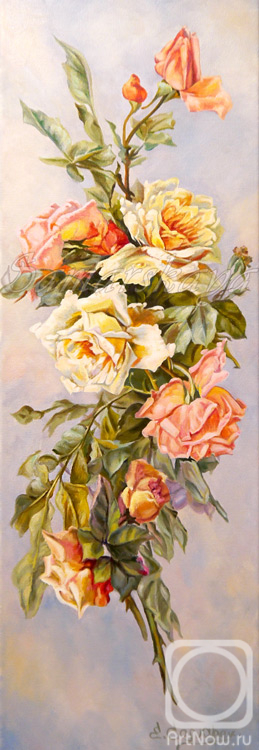 Samarskaya Helena. Roses Klein