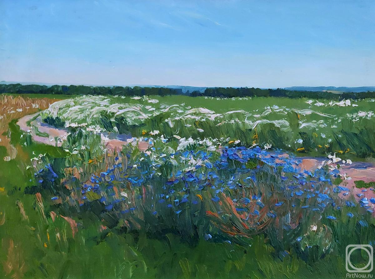 Melnikov Aleksandr. June is blooming in the fields