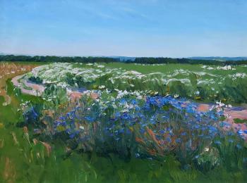 June is blooming in the fields. Melnikov Aleksandr