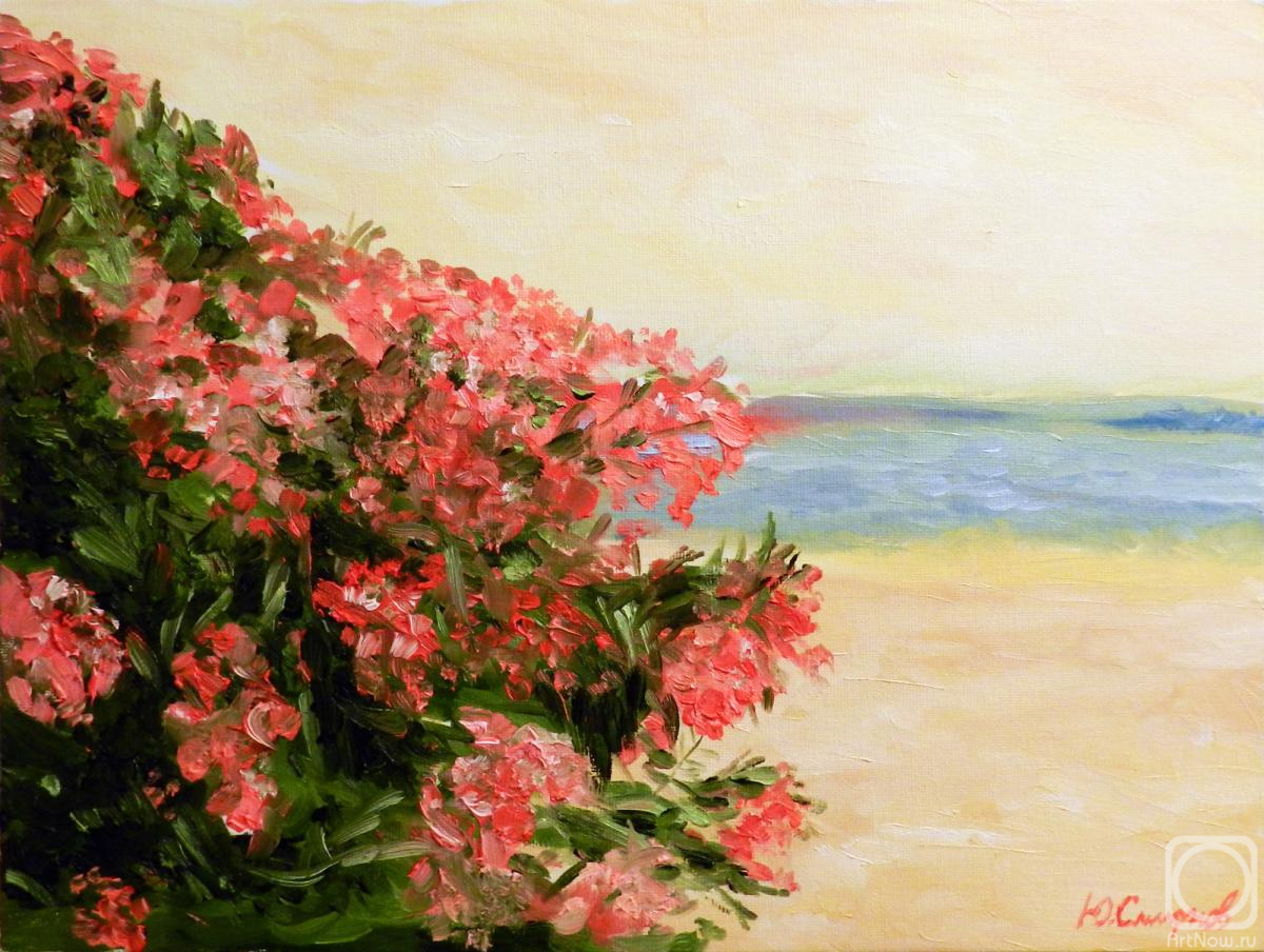 �������. ������� ����. ����� � ����