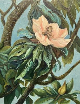 Magnolia (Twig). Lukaneva Larissa