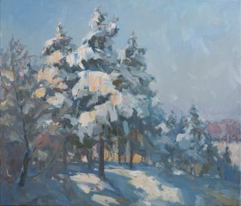 Frost and sun. Katyshev Anton