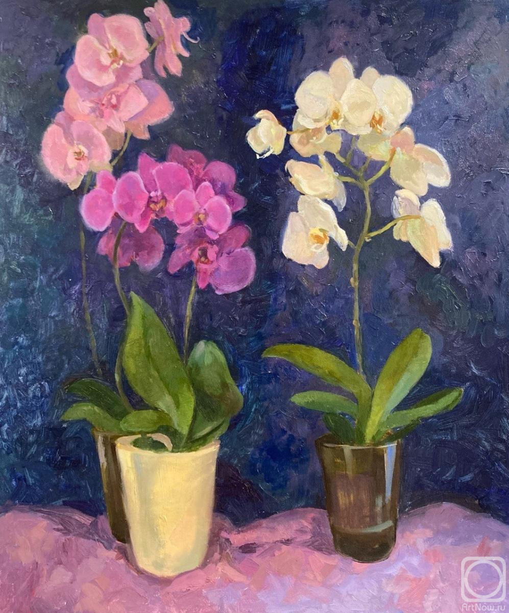 Loshkova Lyudmila. Orchids: pink and white