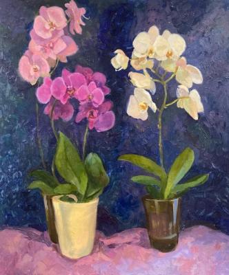 Orchids: pink and white