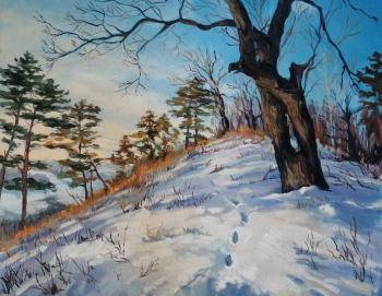 ������� ������� ���