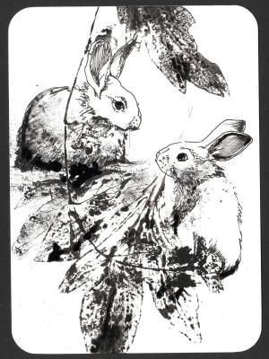 Rabbits (  ). Masterkova Alyona