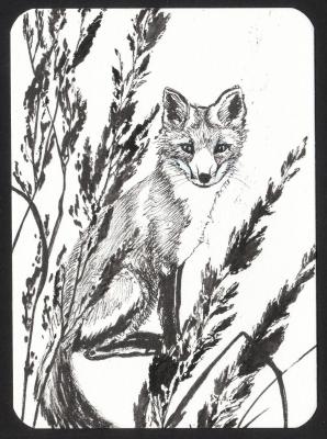 Fox (A Cub). Masterkova Alyona