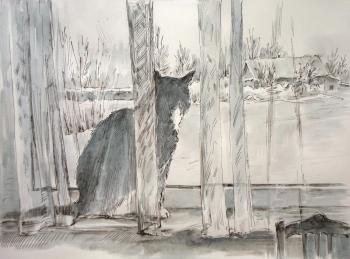 Winter landscape with a cat