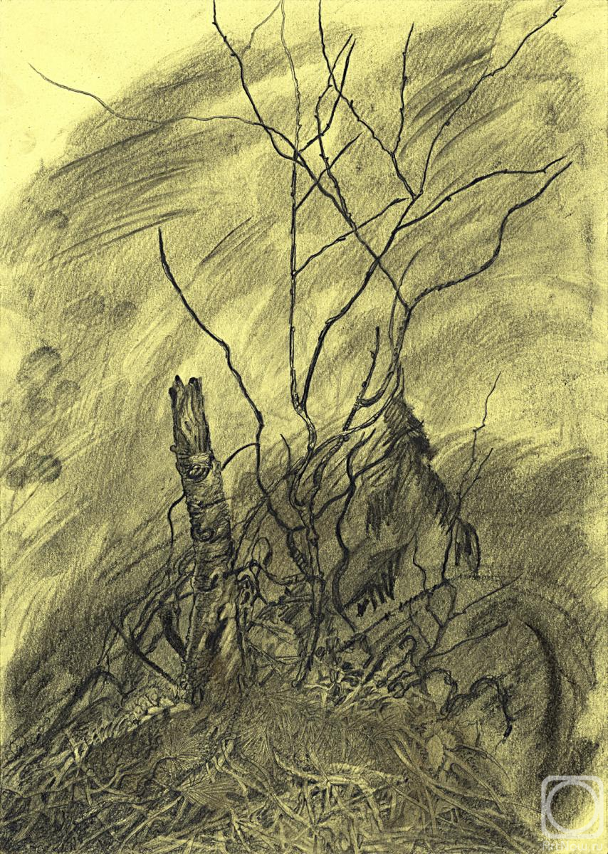 Dementiev Alexandr. Untitled