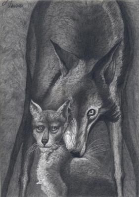 Spider Wolf and Morel Wolf (A Cub). Dementiev Alexandr