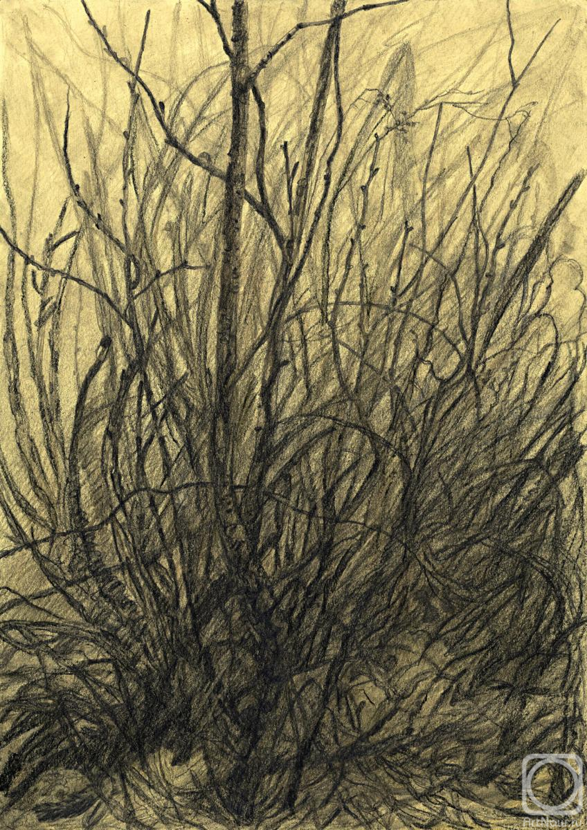 �������. ��������� ���������. ������� ������ ����� ������