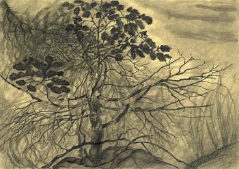 ������� ��������� ����