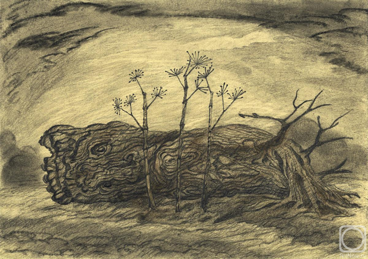 �������. ��������� ���������. ������� � �������