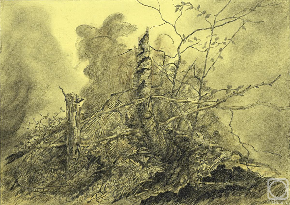 �������. ��������� ���������. ��������� �������� � ������