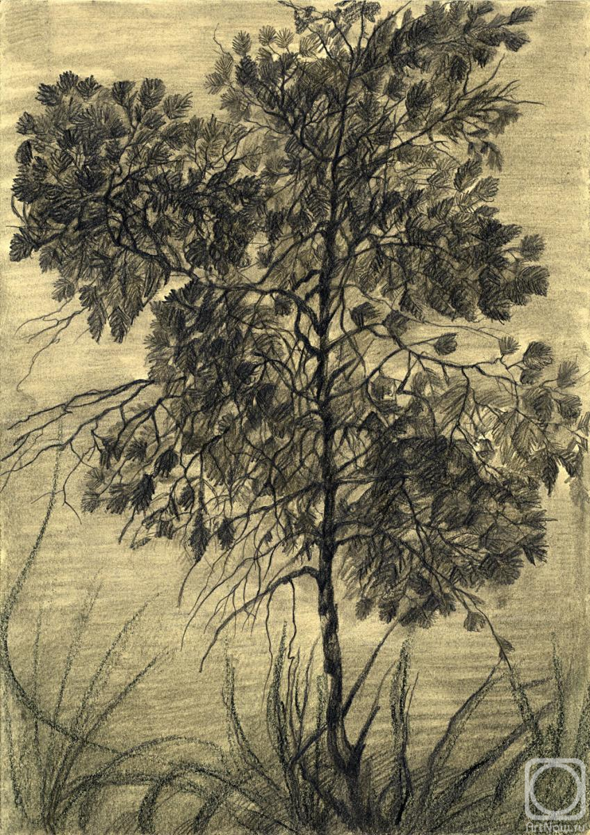 �������. ��������� ���������. ������� ���