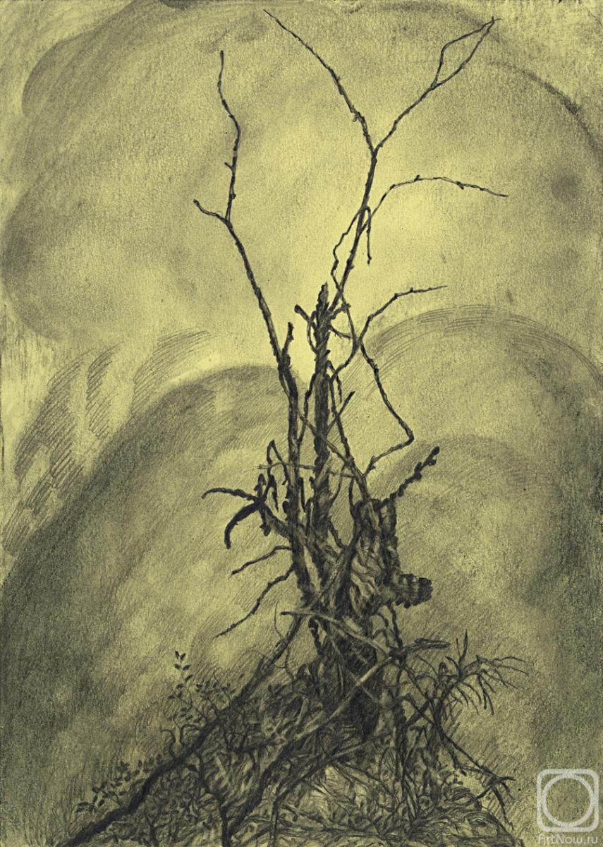 �������. ��������� ���������. ������� ������ �� �����