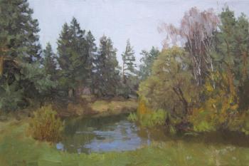 Autumn. Bend of the Dubna River