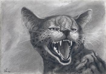 Screaming Serval (Fangs). Dementiev Alexandr