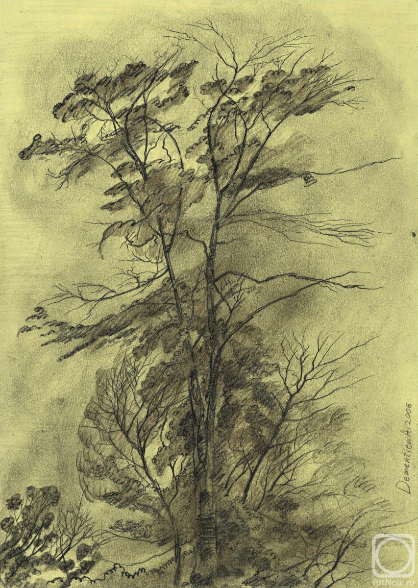 Dementiev Alexandr. A tree with fallen branches
