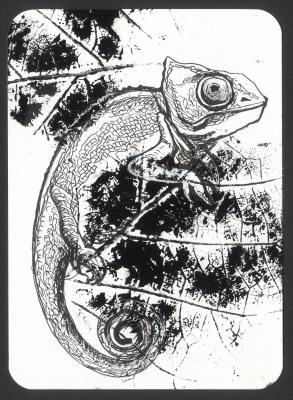 Chameleon (Graphics As A Gift). Masterkova Alyona
