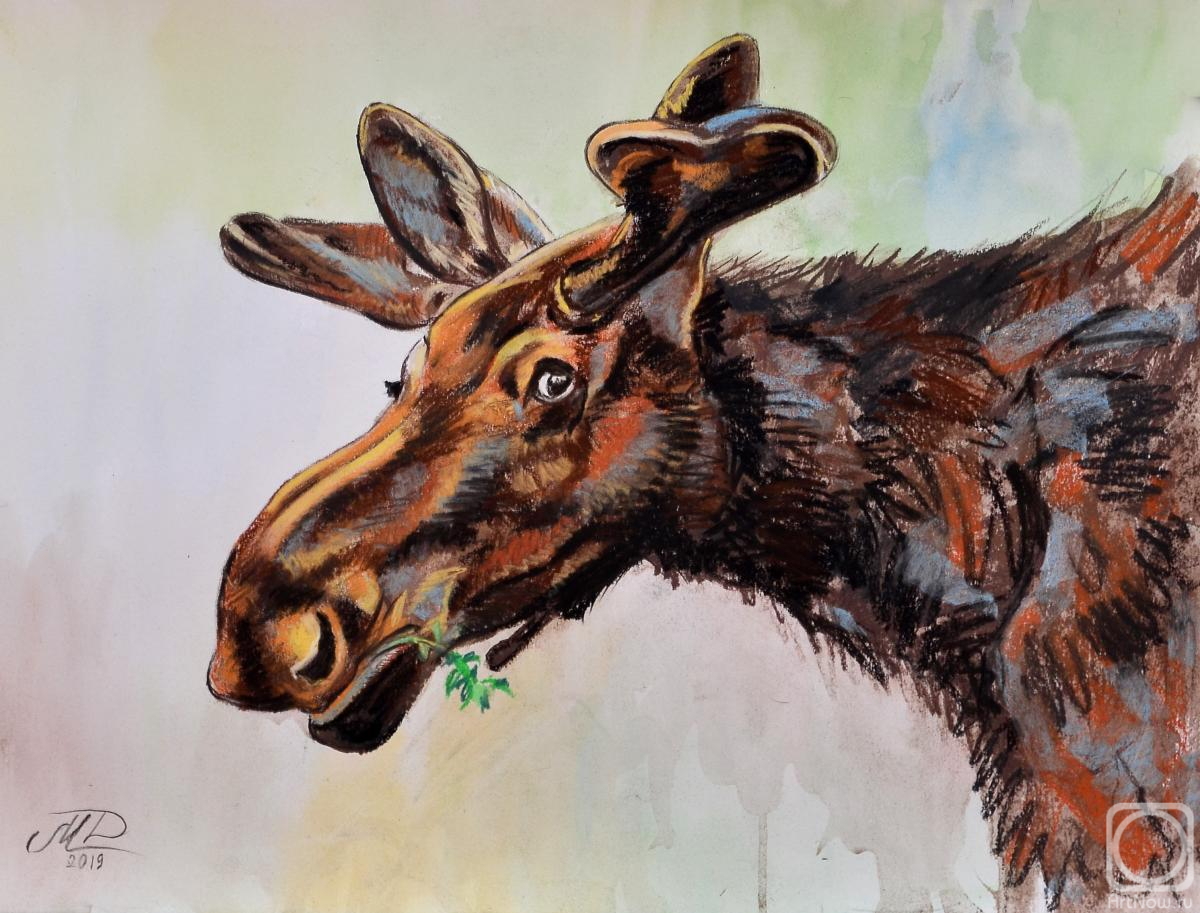 �������. �������� �����. �������